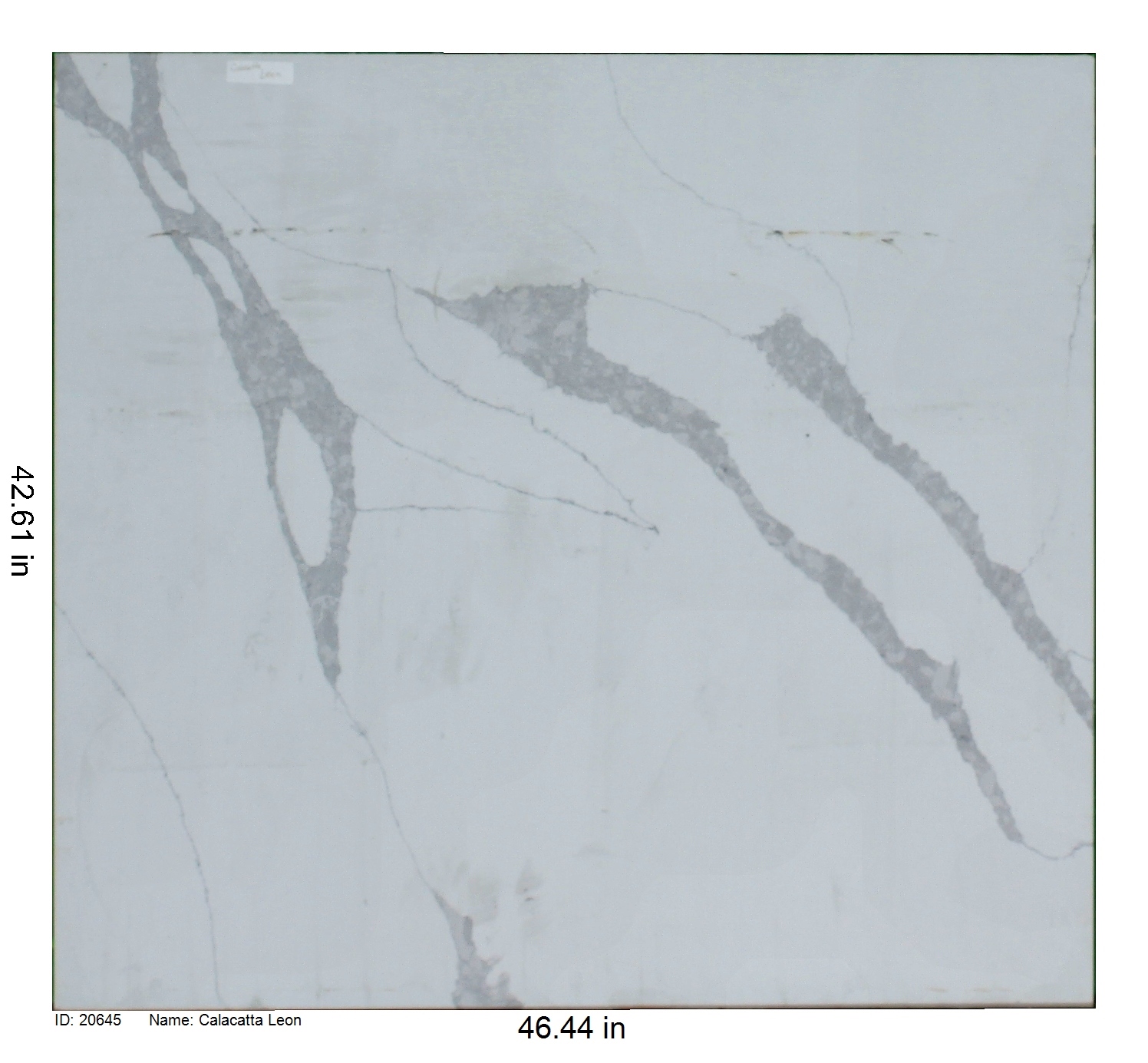 20645 - Calacatta Leon