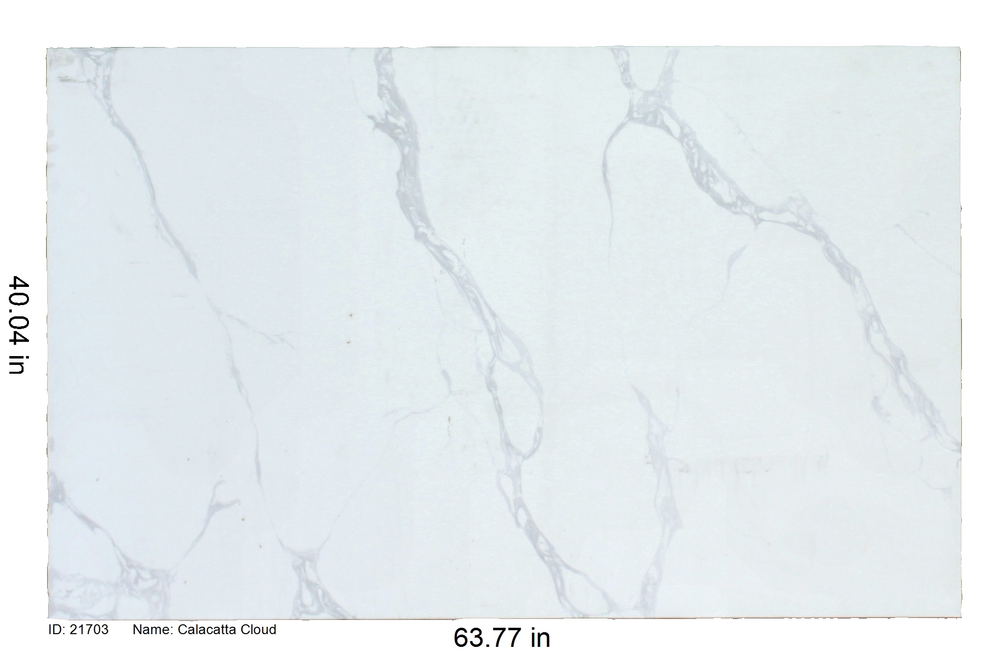 21703 - Calacatta Cloud