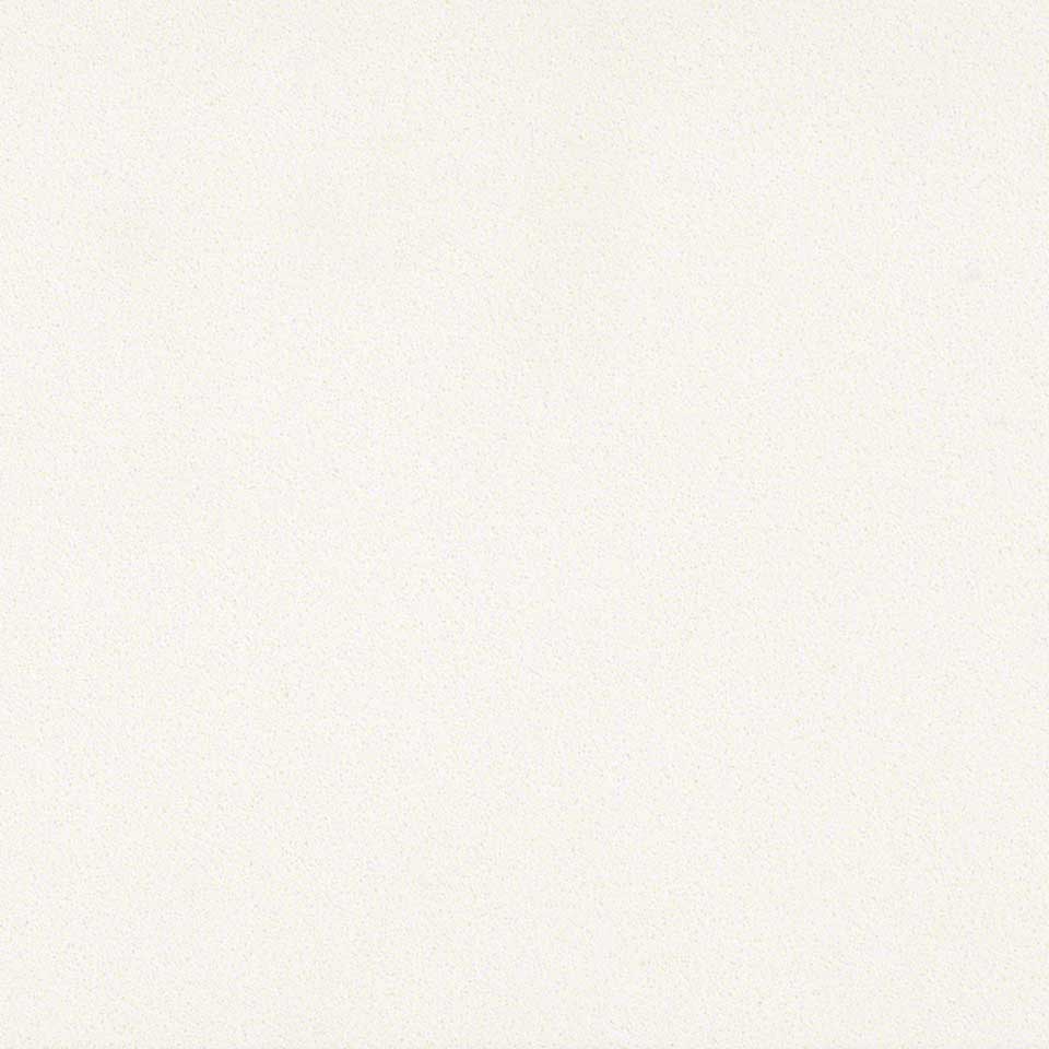 Arctic White