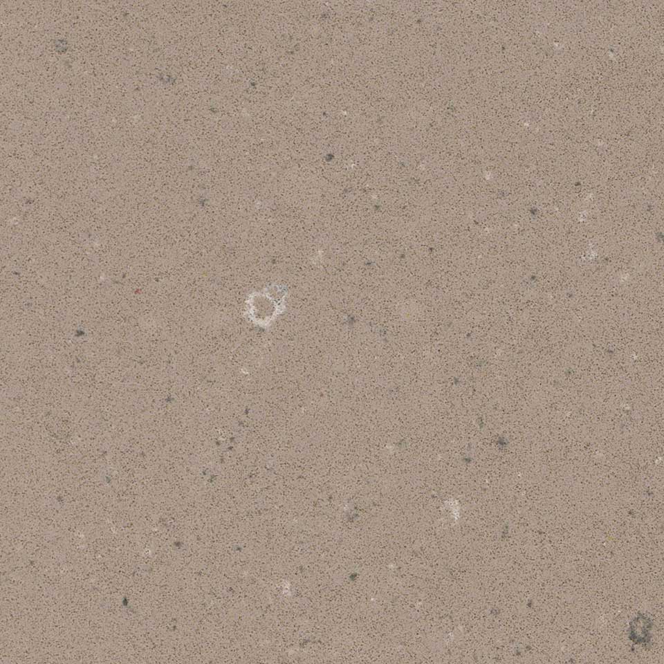 Fossil Taupe