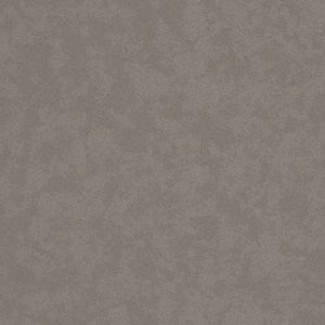 Dove Grey